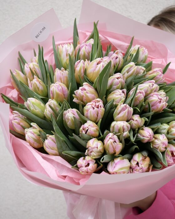 tulipany