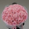 sophia loren roses