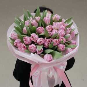 tulipan różowy