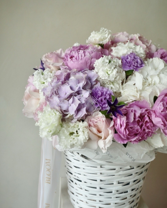 Delicate Harmony xxx