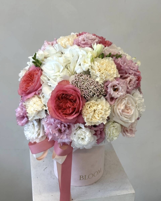 gentle flowerbox medium