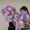 lilac bloom medium