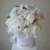 pure-elegance-large