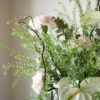 For Your Vase 01 xxx