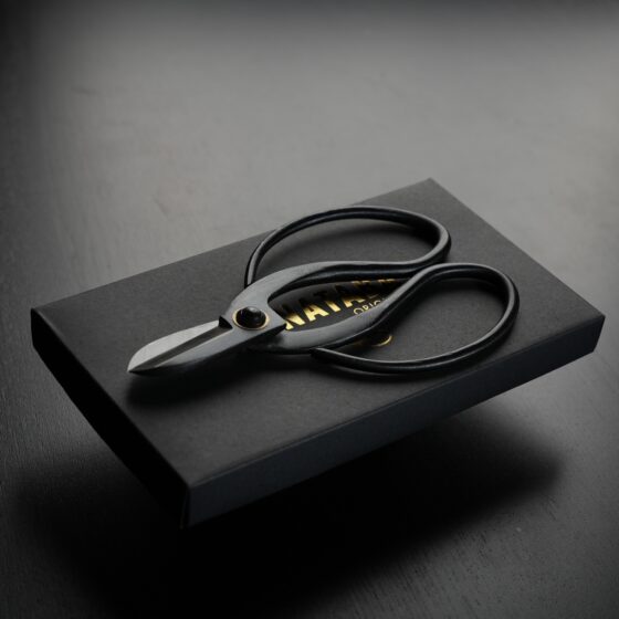 Japanese scissors, Japońskie nożyczki