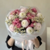 Dahlia, Daisy, Silva Pink medium