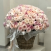peony roses