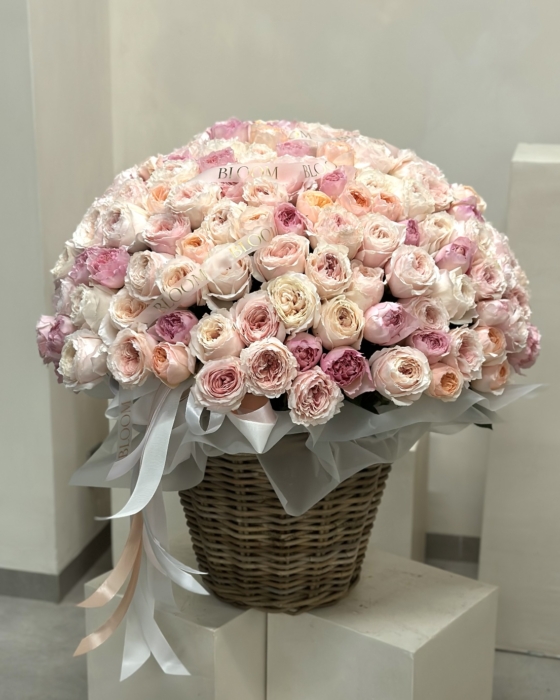 peony roses