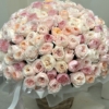peony roses