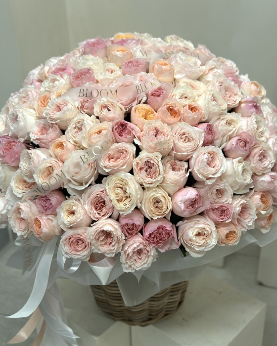 peony roses