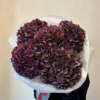 hortensje jesienne