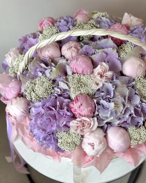 lavender blis kosz xxx
