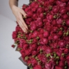 cherry kiss roses