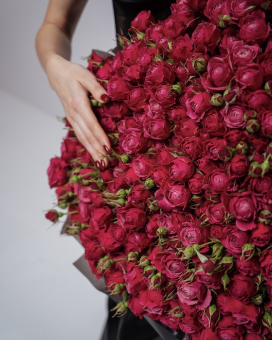 cherry kiss roses