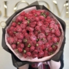 piwoniowe róże cherry kiss