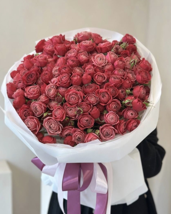 piwoniowe róże cherry kiss