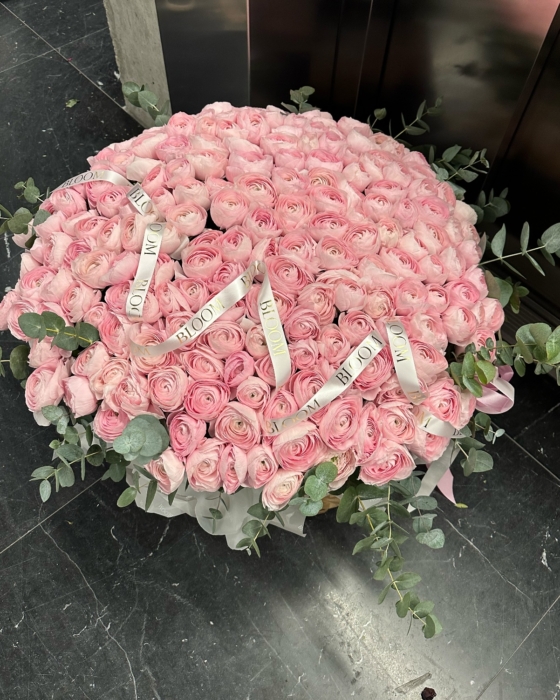 jaskry, ranunculus