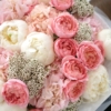 bouquet blush of love