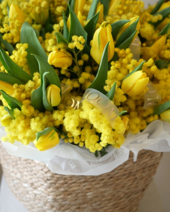 mimosa i żólte tulipany