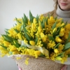 mimosa i żólte tulipany