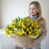 mimosa i żólte tulipany