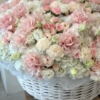 pastel