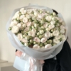 creamy roses