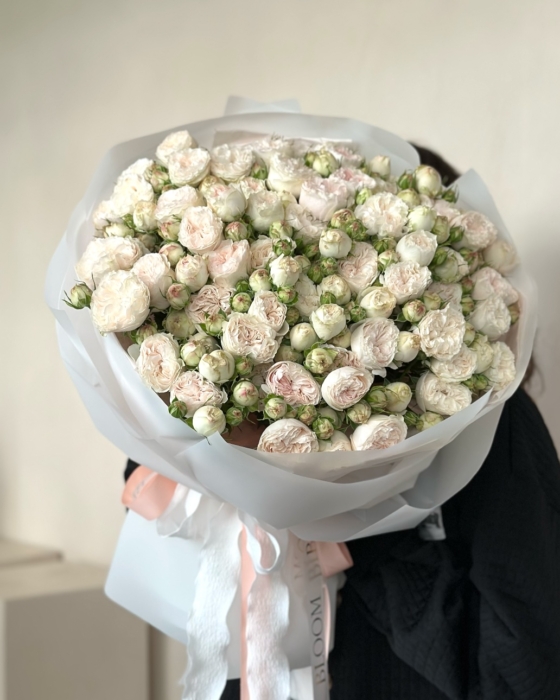creamy roses
