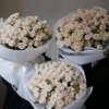 creamy roses