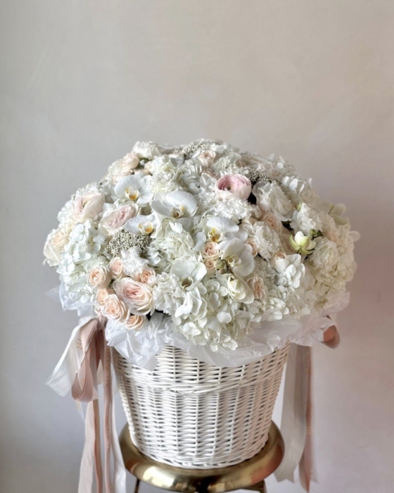 Pastel dream L
