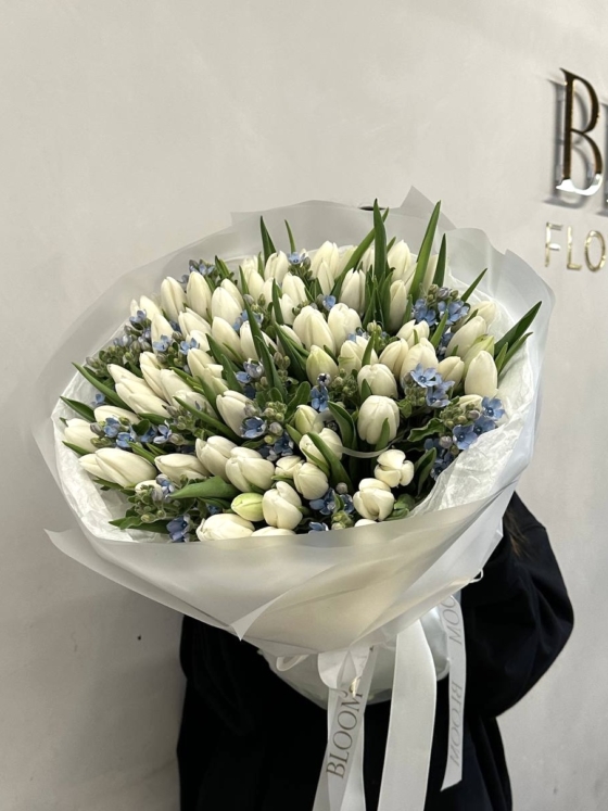 białe tulipany oxy large