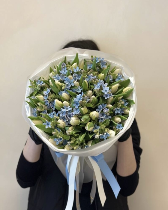 białe tulipany oxy medium