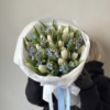 białe tulipany oxy small