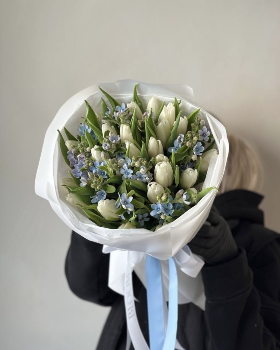 białe tulipany oxy small