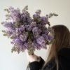 bez, syringa