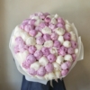 Mix piwonii 75