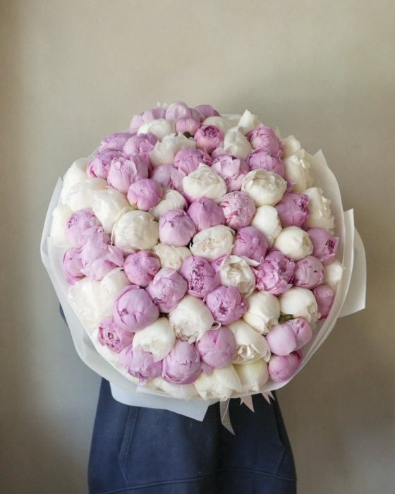 Mix piwonii 75