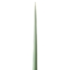 Świeca Smukła "Eucalyptus 42 cm"