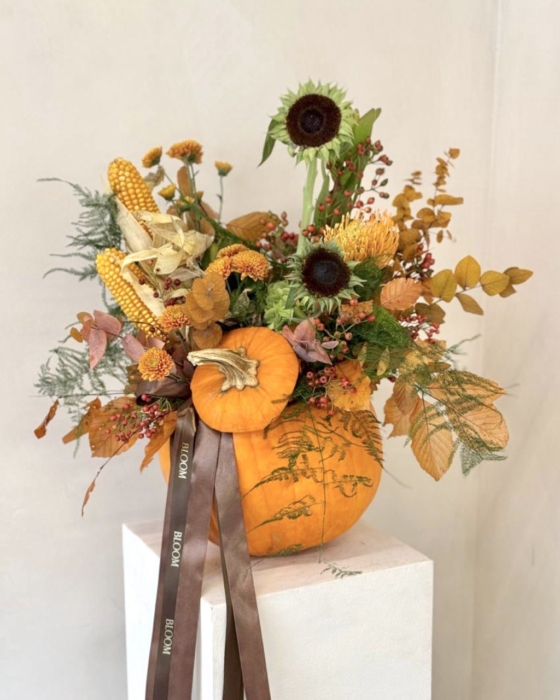 Pumpkin Bloom 2