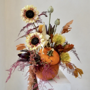 Pumpkin Bloom 1