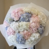 hortensja, hydrangea