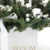 Frost-Glow-stroik-445(1)