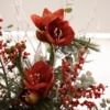 Kupon-na-Zimową Subskrypcję-Kwiatową