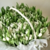Kosz bialych tulipanow