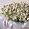 kwiaty-w-pudelku tender-bloom