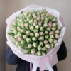 Tulipan pęłny ròżowy