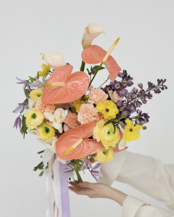 Coral & Lavender tlo