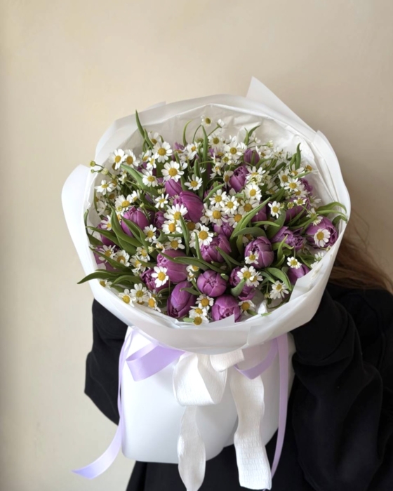 tulipan z rumiankiem