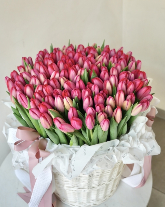 Kosz czerwonych tulipanow 151