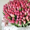 Kosz czerwonych tulipanow